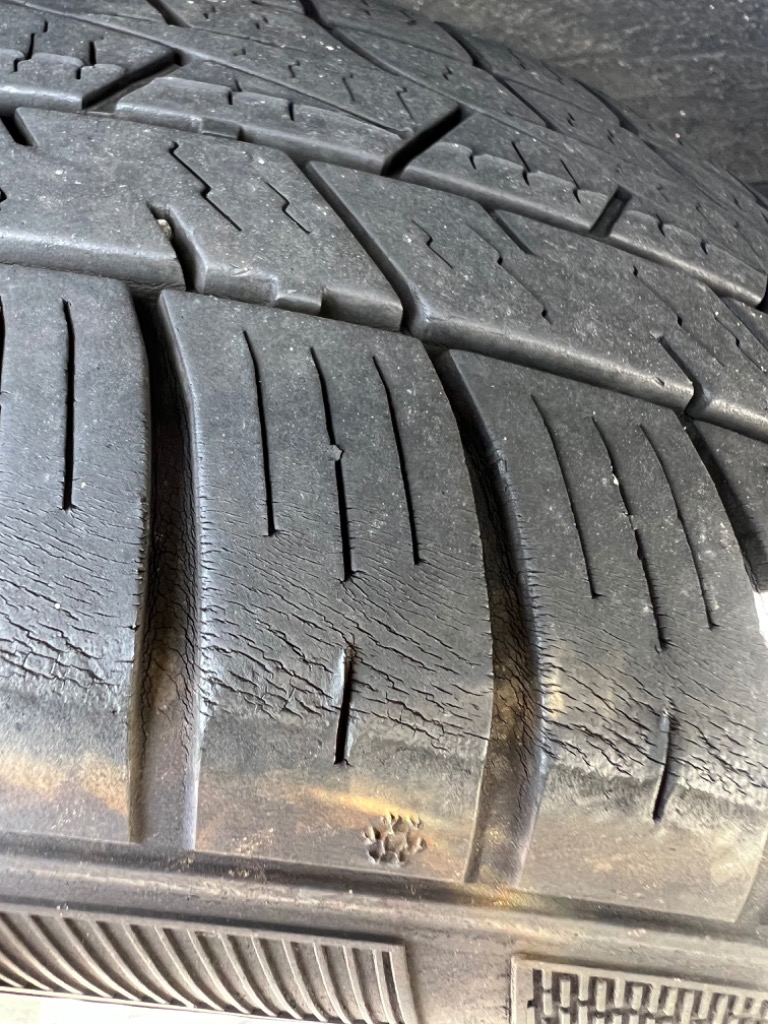 DELINTE 【2025年製】 オールシーズンタイヤ 165/60R15 77H