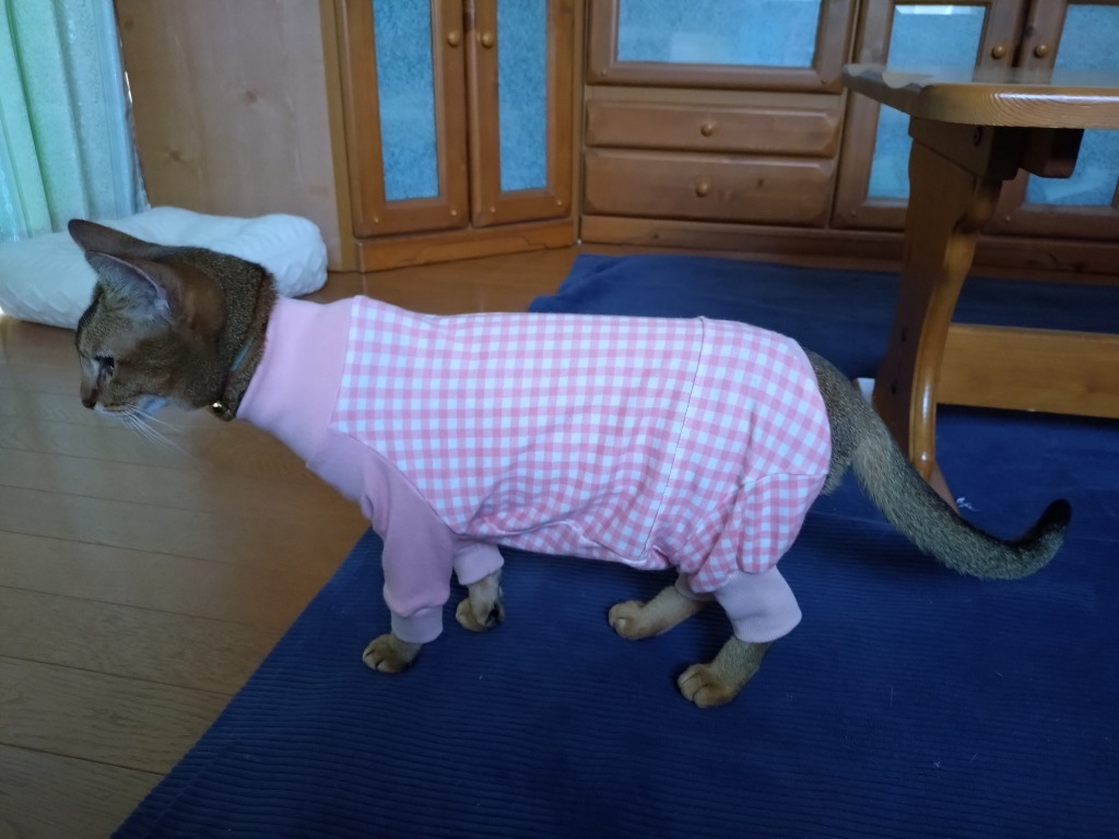 1件目のレビュー画像 | 0