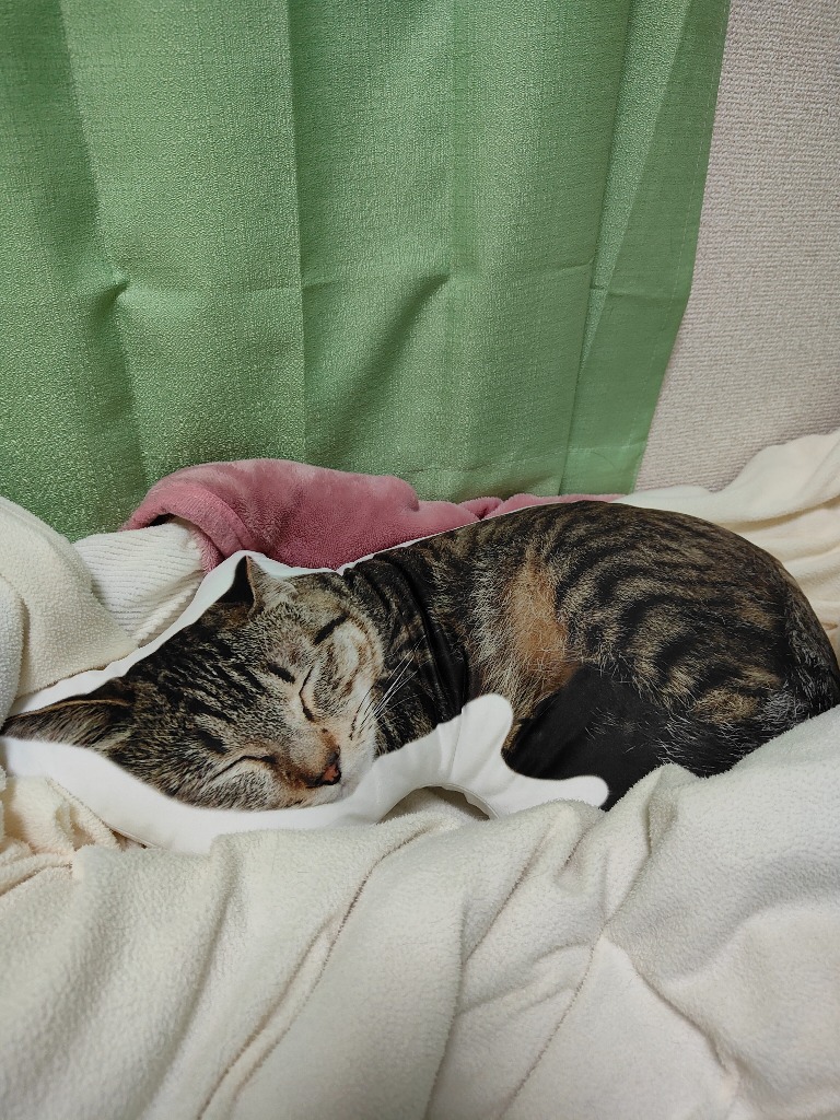 レビュー画像