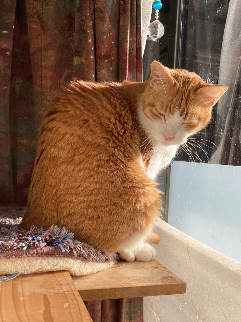 2件目のレビュー画像 | 1