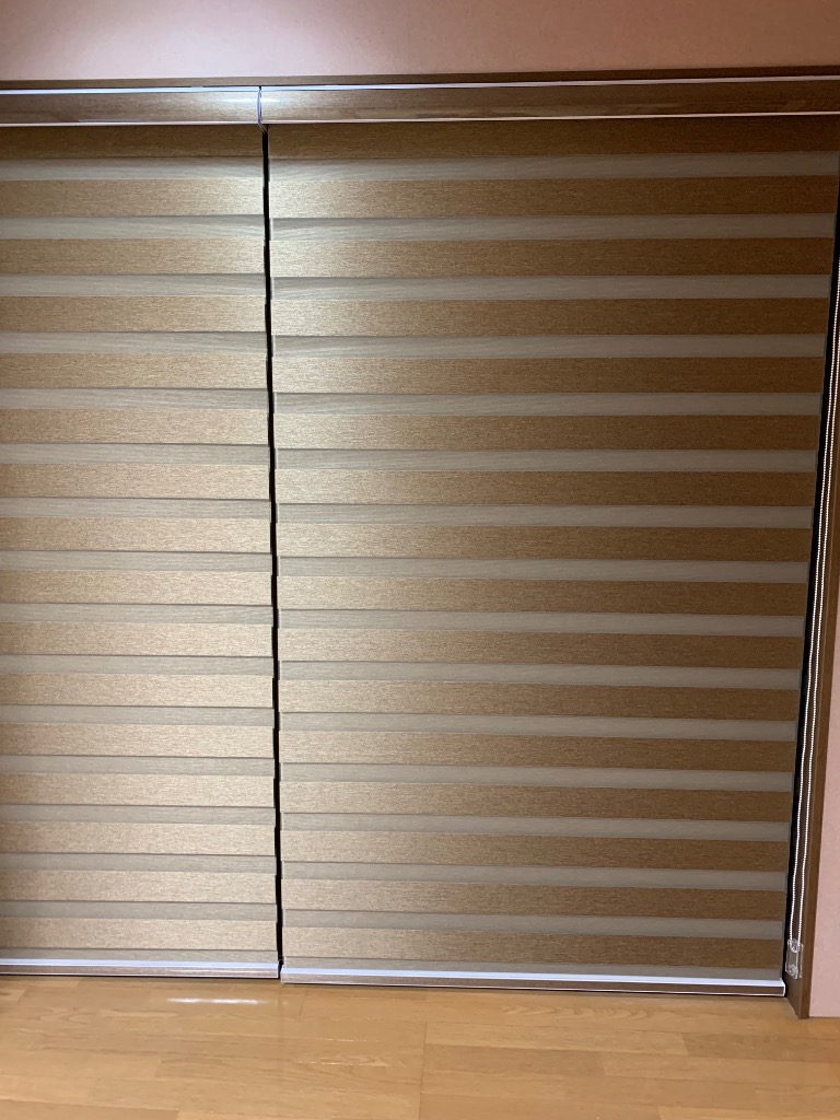 全体のレビュー画像 | 2-1