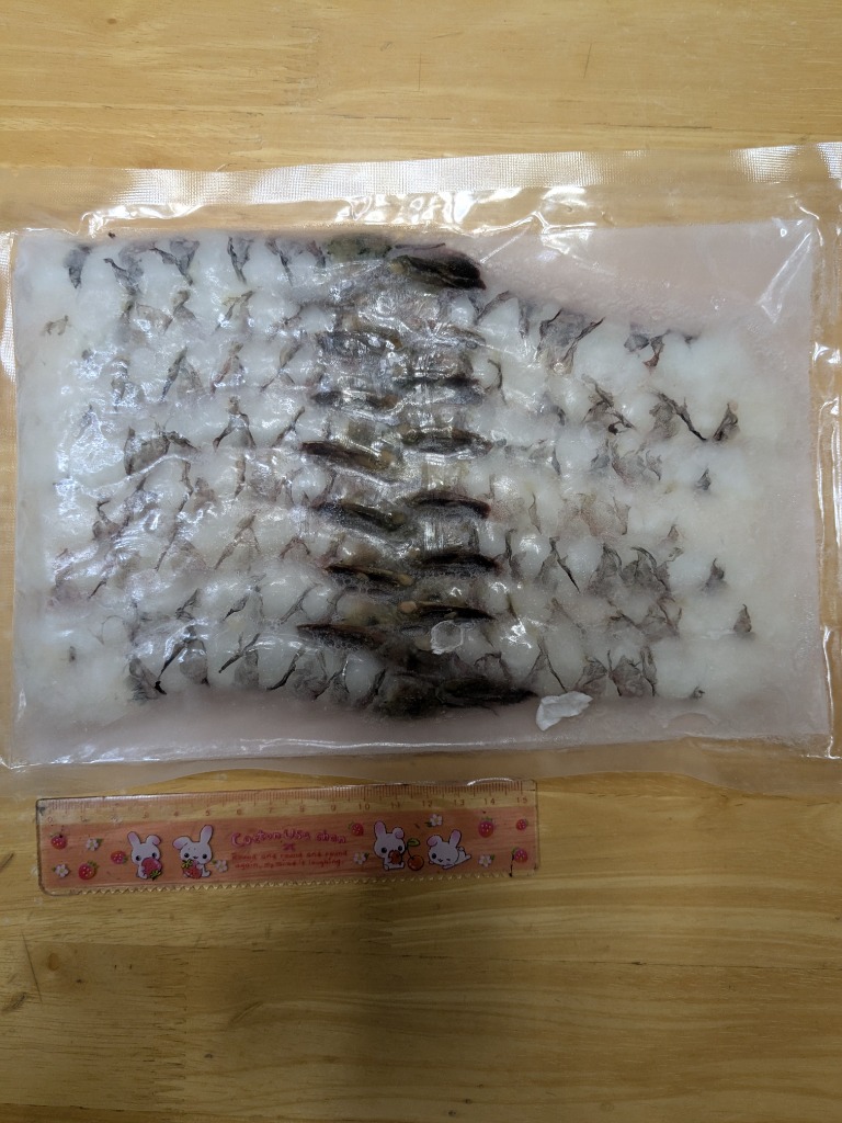 ブラックタイガー 便利な むき海老 15尾 約15cm 処理済み 尻尾 ブラックタイガー 便利な むき海老 15尾 約15cm 処理済み 尻尾