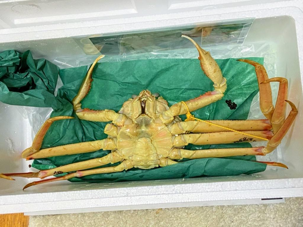 1件目のレビュー画像 | 1