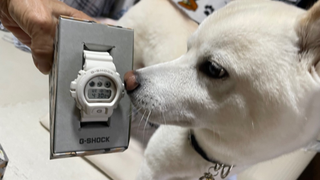 Amazon.co.jp: [カシオ] 腕時計 ジーショック 【国内正規品
