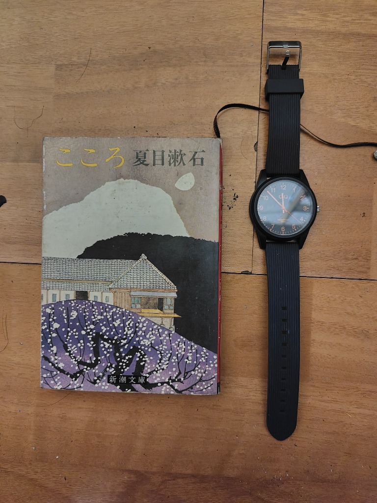 CITIZEN シチズン Q&Q 腕時計 メンズ レディース ペアウォッチ 大きめ