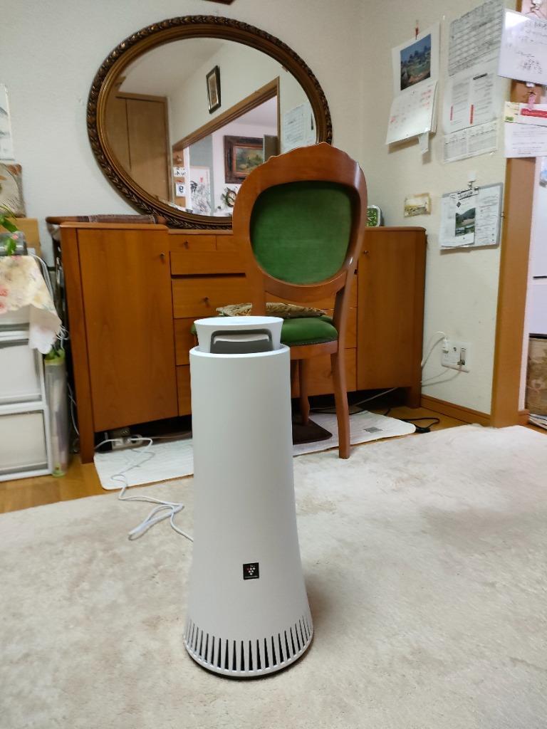 美品　SHARP　シャープ 消臭機 プラズマクラスター　DY-S01　２１年製 SHARP シャープ(SHARP) DY-S01 プラズマクラスターNEXT搭載 除菌