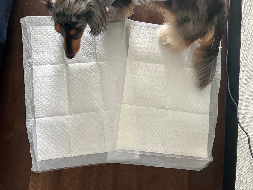 全体のレビュー画像 | 0-0