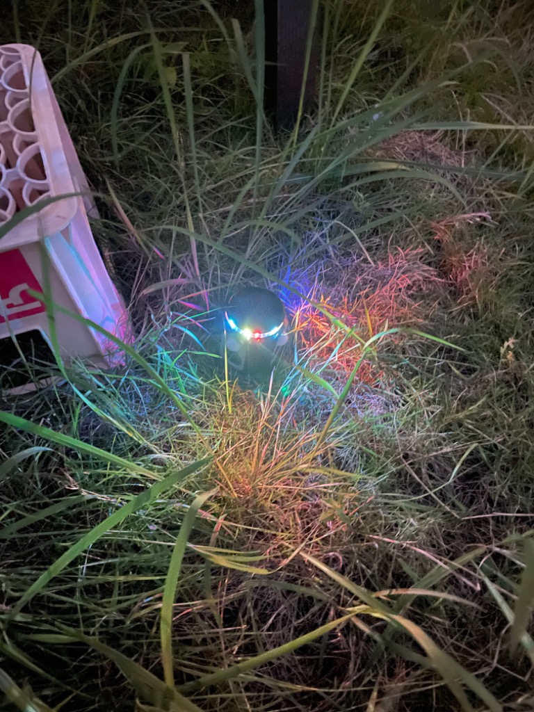 全体のレビュー画像 | 1-1