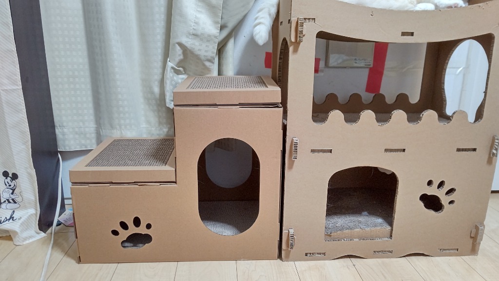 猫ひた 小林希大 グッズセット MYZOO-六角ハウスシリーズ