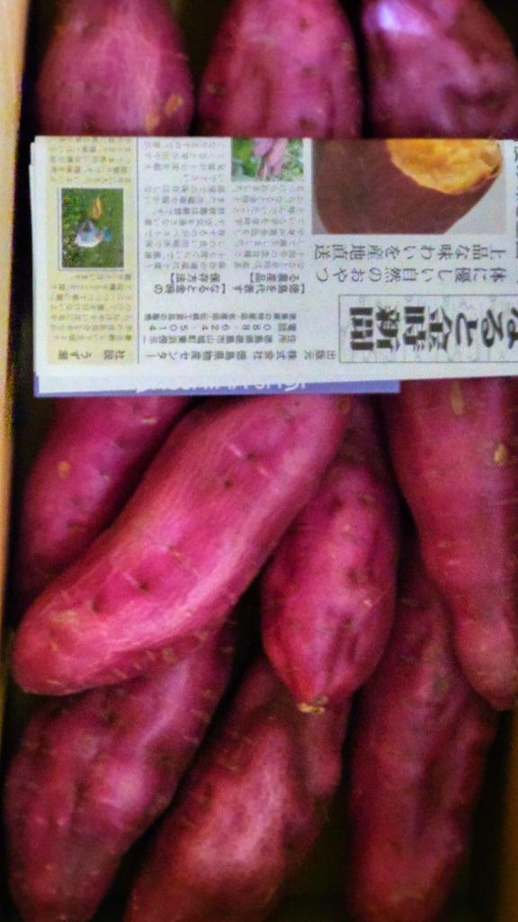 全体のレビュー画像 | 5-0
