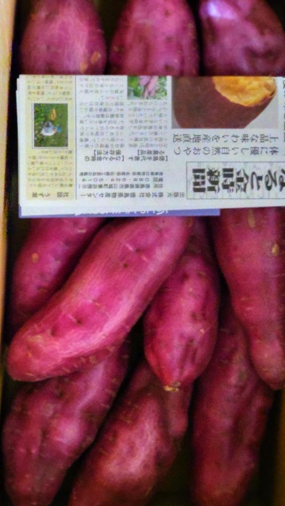 全体のレビュー画像 | 4-0