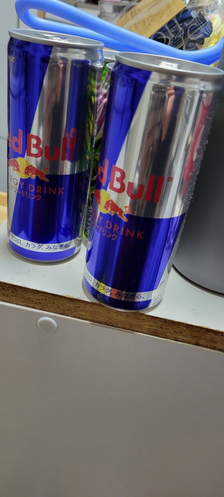 レッドブル エナジードリンク 缶 250ml 48本 24本入 2ケース