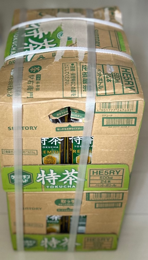 特茶 サントリー 伊右衛門 緑茶 500ml 48本 2ケース 特茶s 特定