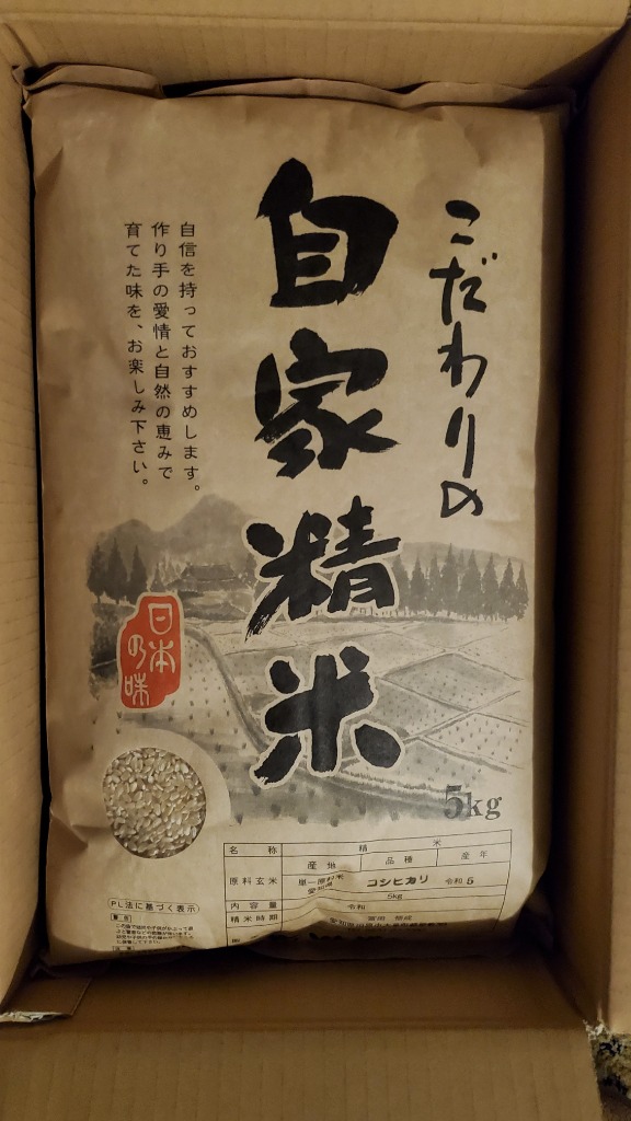 コシヒカリ 令和6年産 コシヒカリ 10kg 愛知県産 白米 無洗米