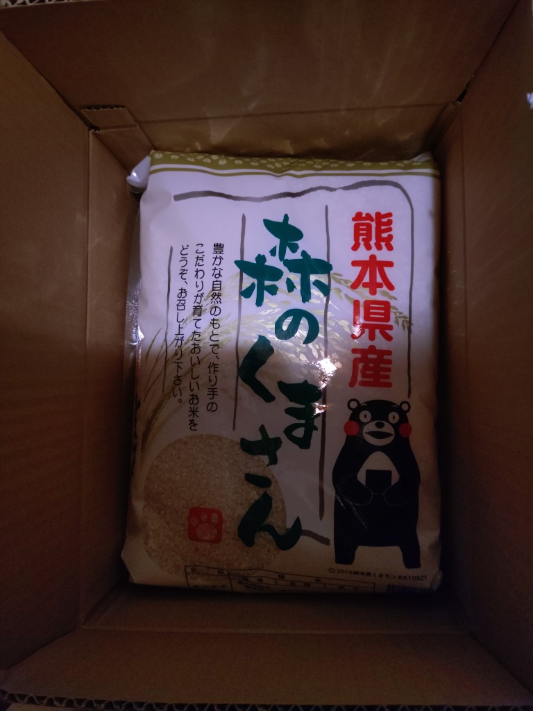 森のくまさん お米 米 10kg 白米 送料別 最短 熊本県産 令和7年産 5kg2