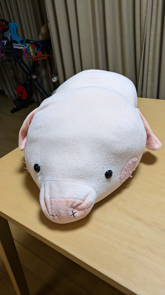 レビュー画像