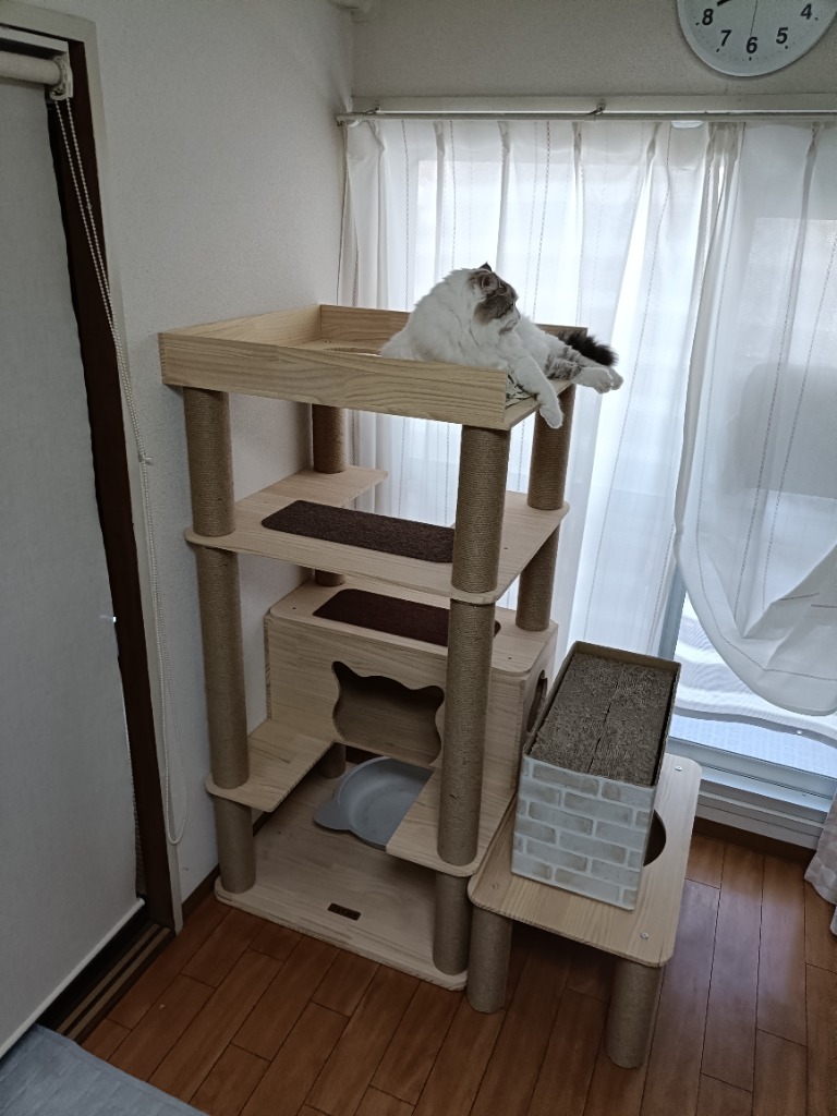 レビュー画像