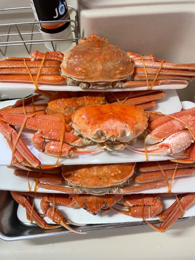 全体のレビュー画像 | 0-1