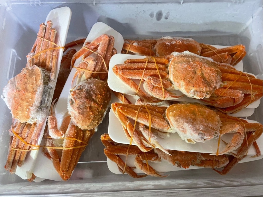 全体のレビュー画像 | 0-0