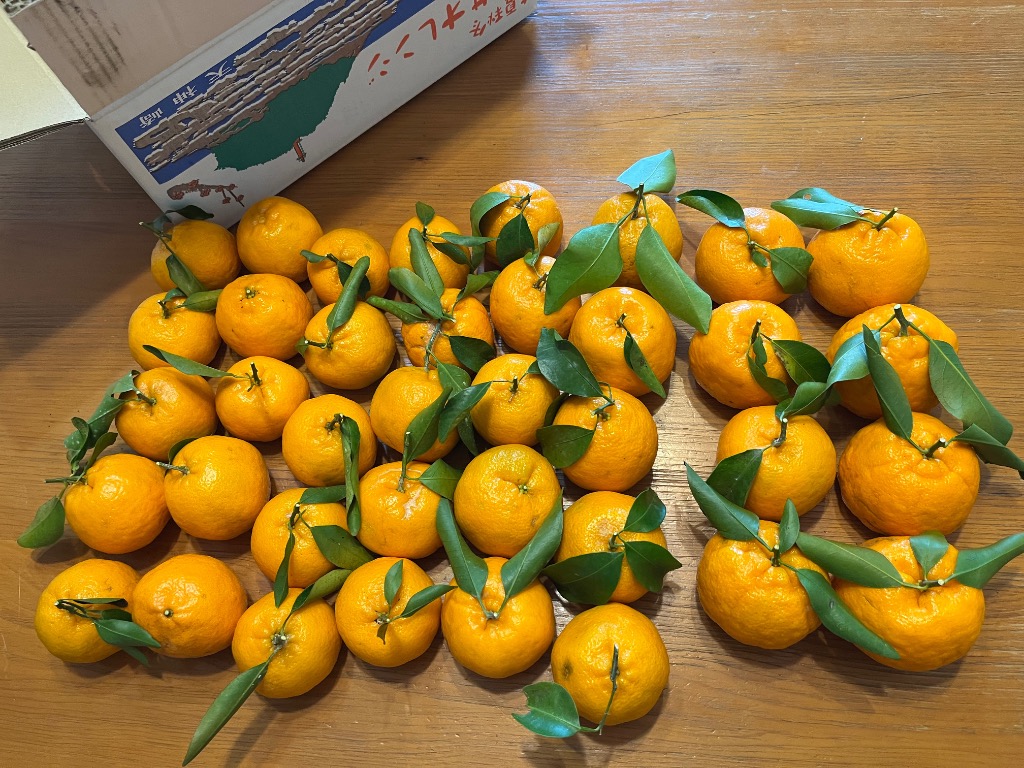 1件目のレビュー画像 | 0