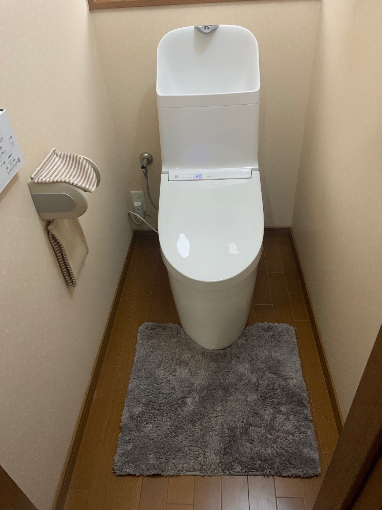 TOTO トイレ 排水心200mm TOTO CES9315-NW1 GG1-800タイプ
