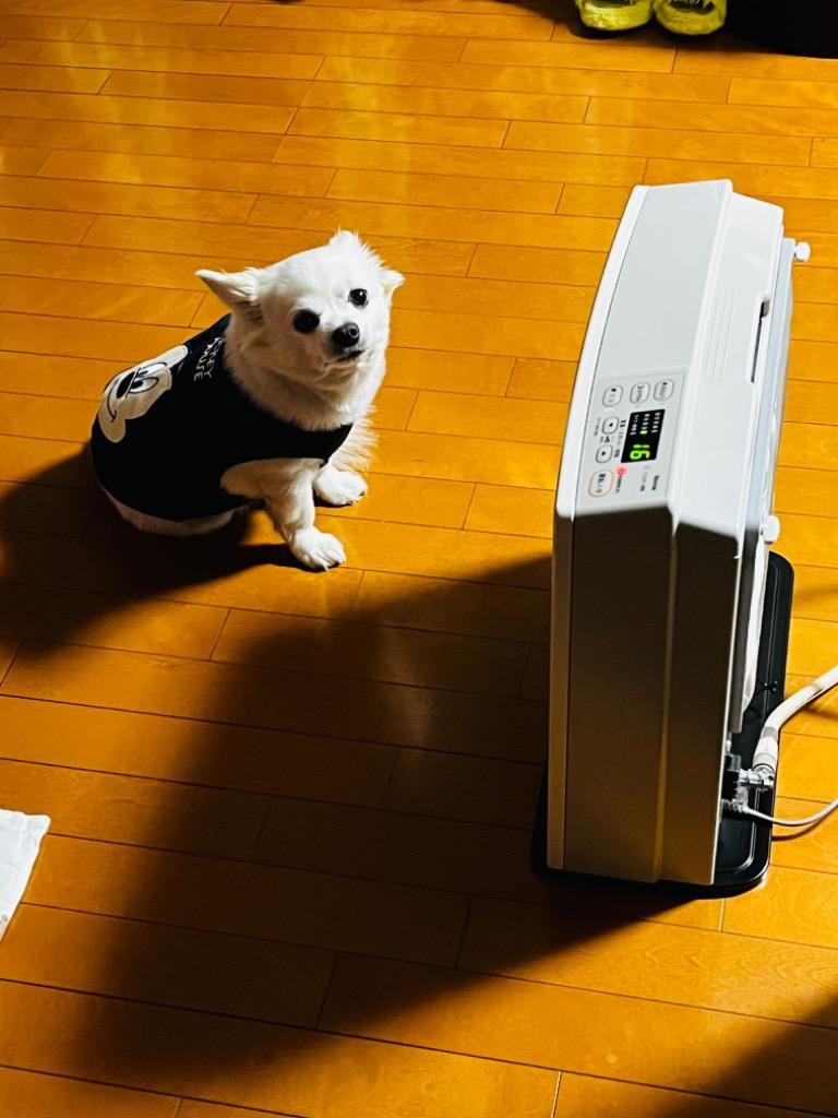 リンナイ（Rinnai） 【在庫あり・3年保証】【2025年製】 SRC-365E-13A