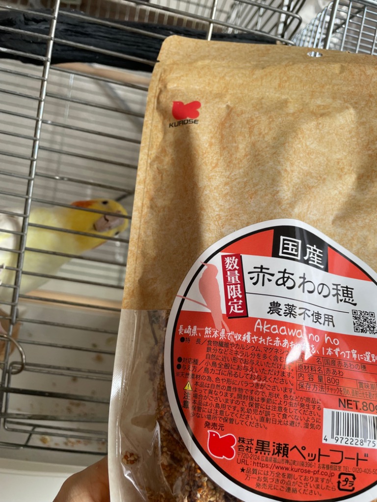 国産 無農薬栽培 赤あわの穂 80g 赤色タイプ 日本産粟穂（数量
