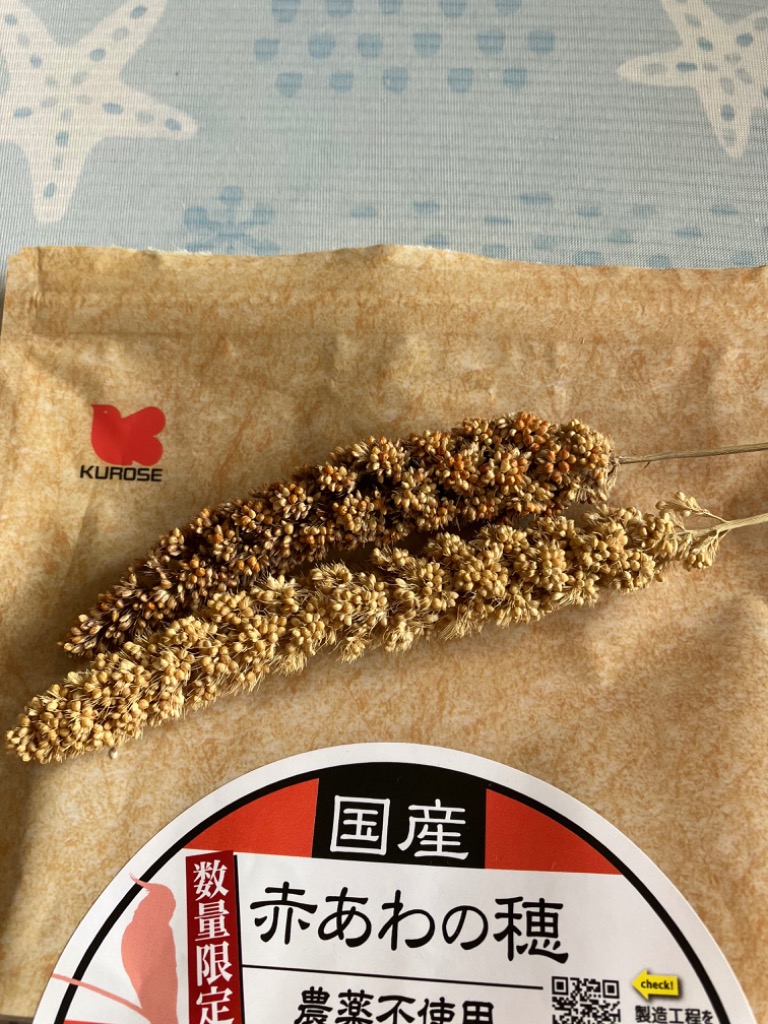 とり子様1kg 国産　栽培期間中　農薬不使用、無化学肥料で栽培した粟穂 国産 栽培期間中 農薬不使用、無化学肥料で栽培した粟穂 薄暗い