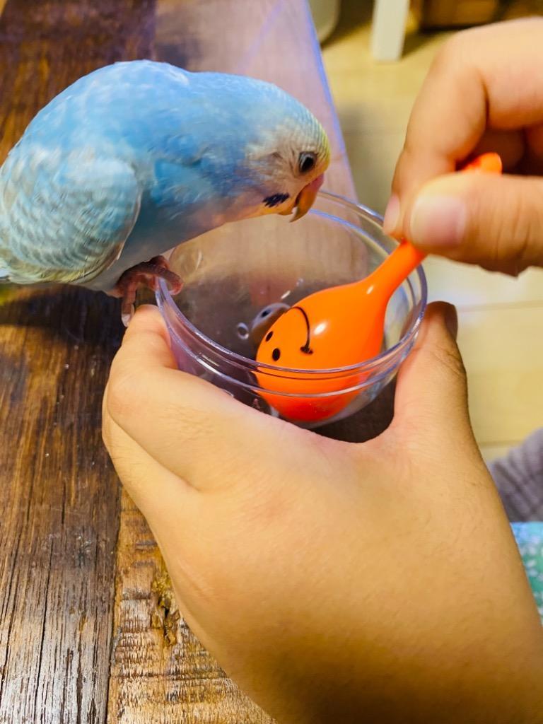 マラカス インコ おもちゃ 小鳥 セキセイインコ 鳥用品 ピンク オレンジセット