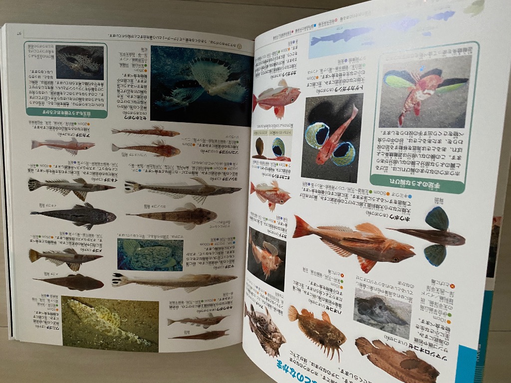 松浦啓一 小学館の図鑑NEO〔新版〕 魚 DVDつき ［BOOK+DVD