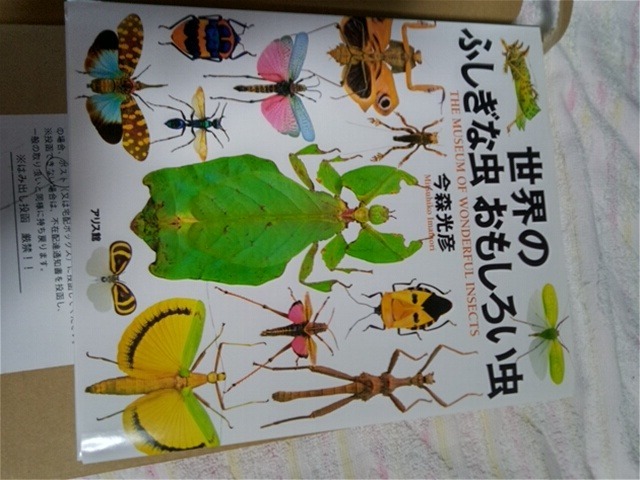 世界のふしぎな虫おもしろい虫 THE MUSEUM OF
