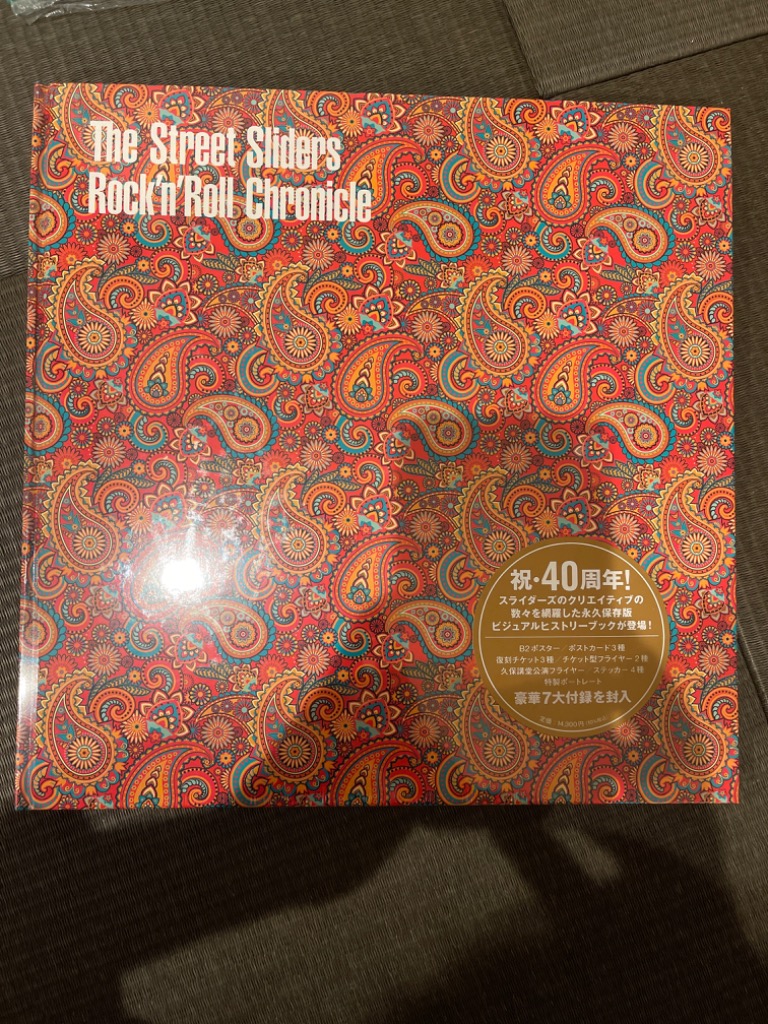 THE STREET SLIDERS The Street Sliders Rock'n'Roll Chronicle(ザ・ストリート・スライダーズ  ロックンロール・クロニ Book