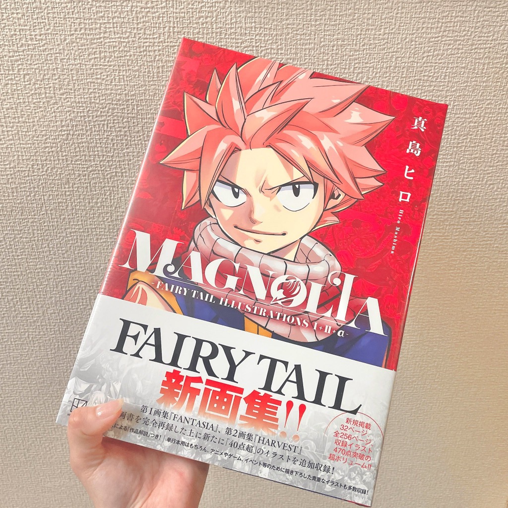 MAGNOLIA-FAIRY TAIL ILLUSTRATIONS 真島ヒロ failytailillust_main.jpg?
