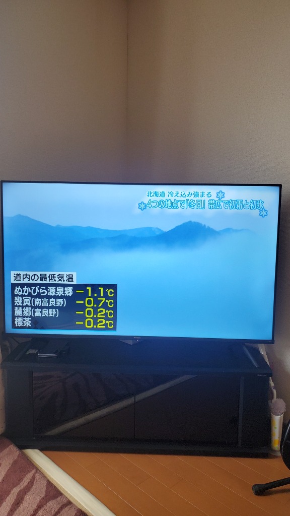 Hisense 50A6H VOD対応 液晶テレビ 50V型 ネット動画視聴 USB