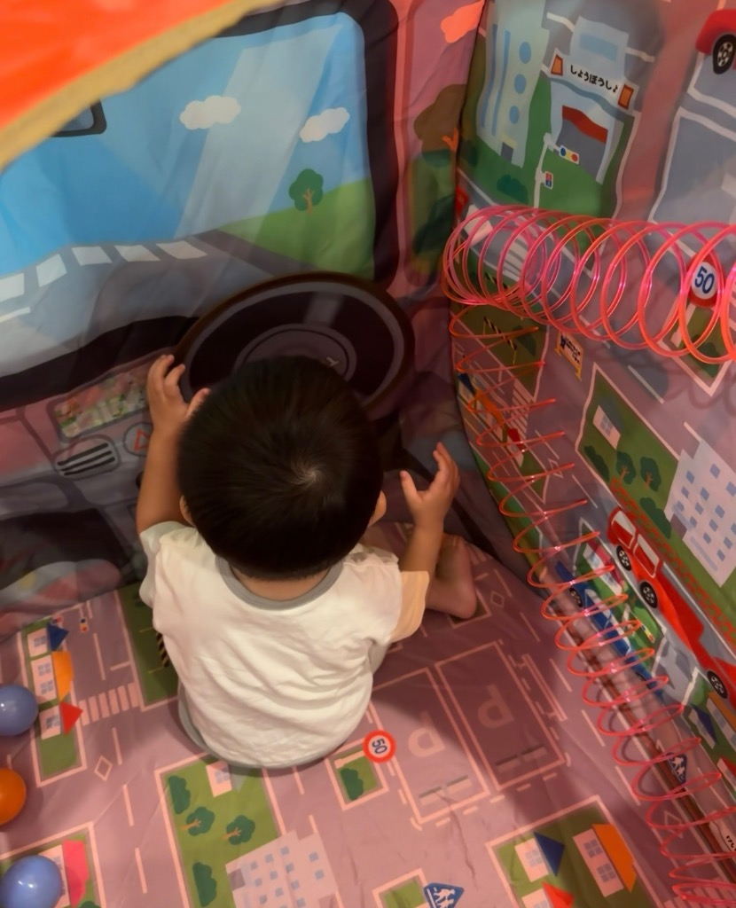 トミカ 遊びも学びもたっぷり消防車 ボールテント トイザらス限定 3歳