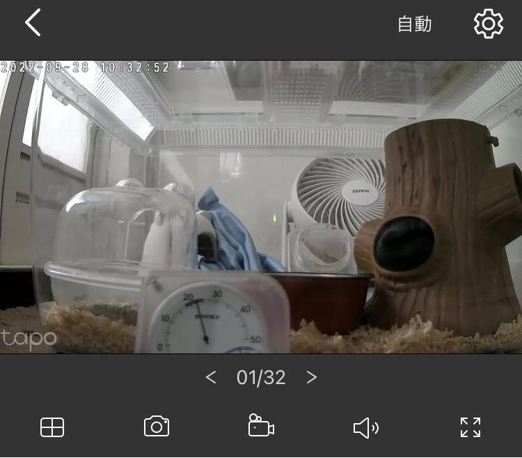 レビュー画像