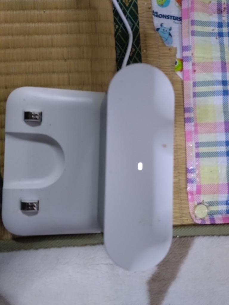 レビュー画像