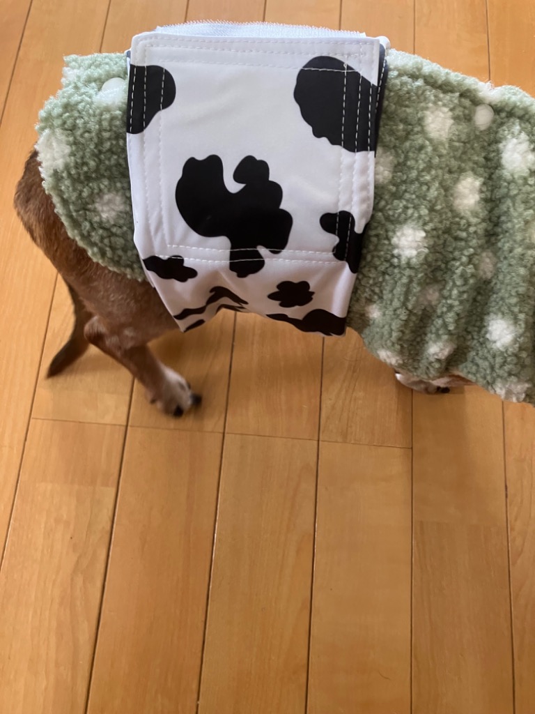 レビュー画像