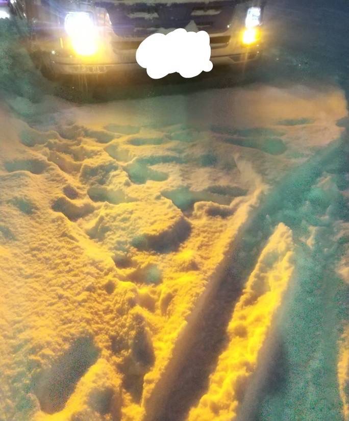 1件目のレビュー画像 | 2