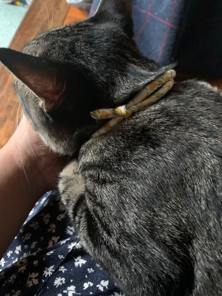 全体のレビュー画像 | 0-0