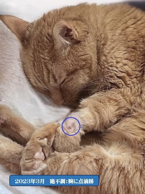 1件目のレビュー画像 | 1