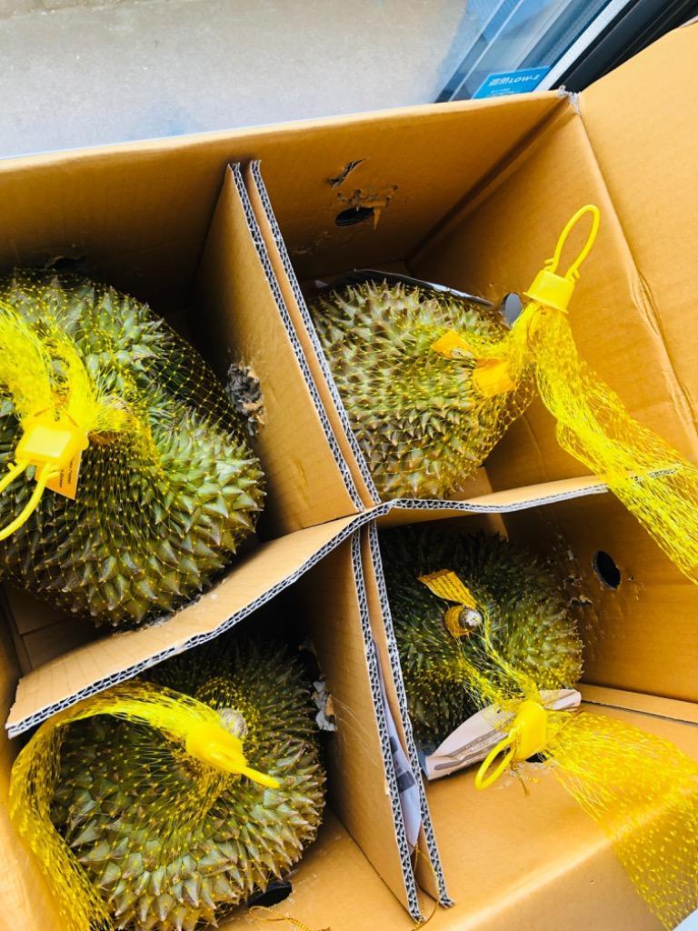 タイ産ドリアン Mサイズ 約2.0kg〜2.5kg 4玉入り（モントーン種