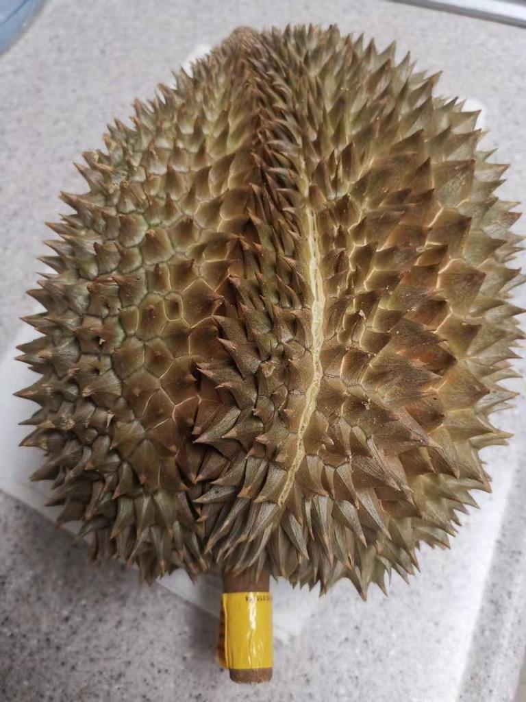 タイ産ドリアン Mサイズ 約2.0kg〜2.5kg 4玉入り（モントーン種