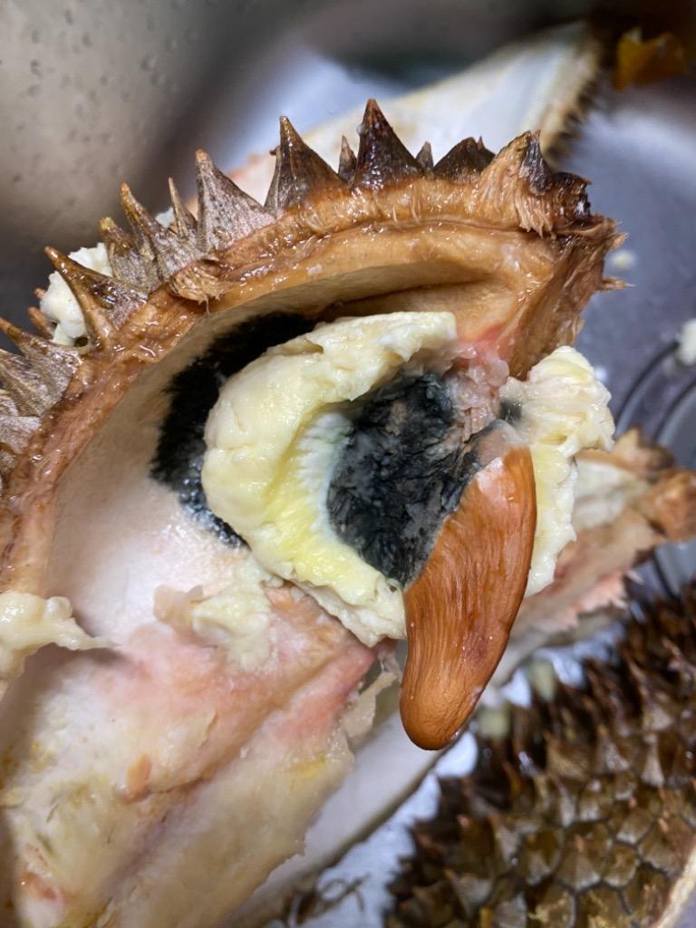 タイ産ドリアン Mサイズ 約2.0kg〜2.5kg 4玉入り（モントーン種