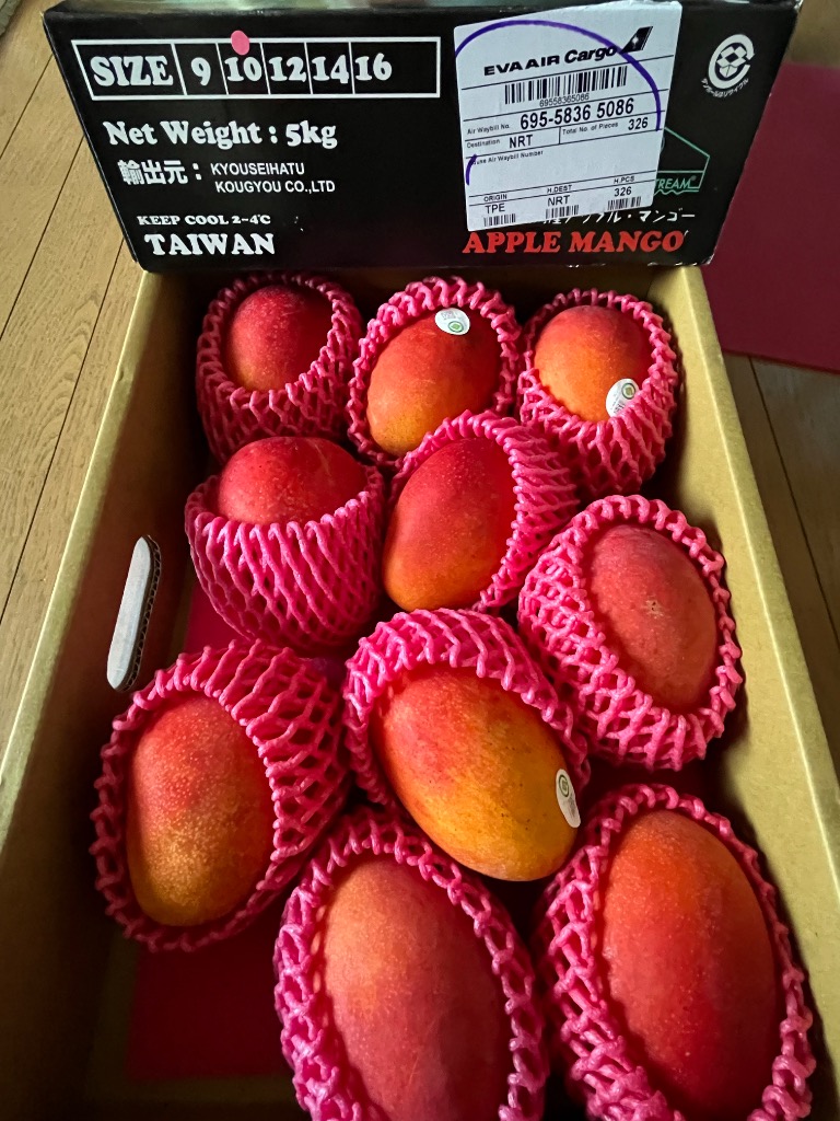 台湾産 アップルマンゴー 約5.0kg 大玉8玉/9玉/10個/12個入り