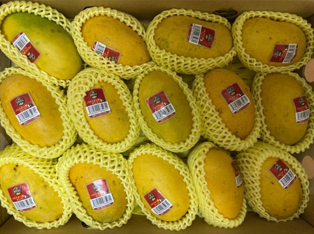 専用⭐︎パキスタンマンゴーととうもろこし10本 パキスタン マンゴー | Halal Store Japan | Online Halal Food