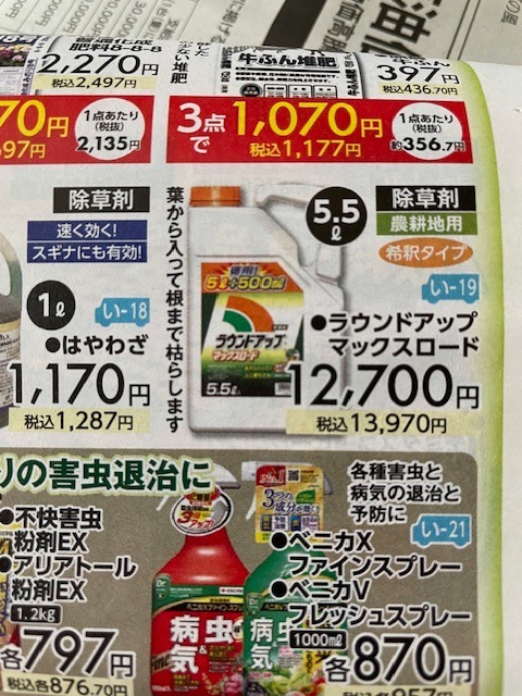 レビュー画像