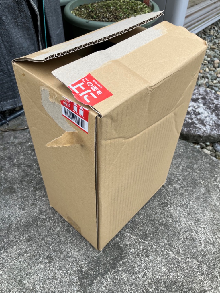 レビュー画像