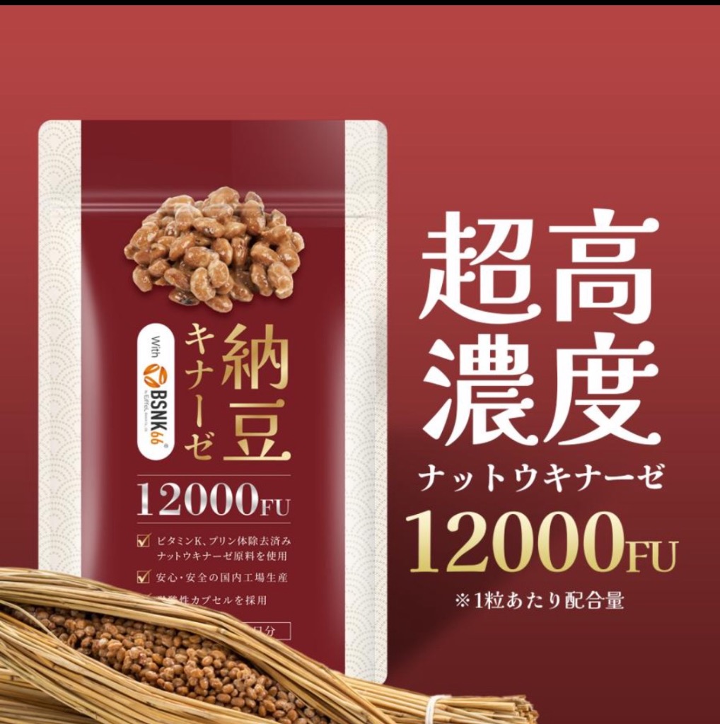 ナットウキナーゼ 12000FU/日（1日1粒）30日分 サプリ 納豆