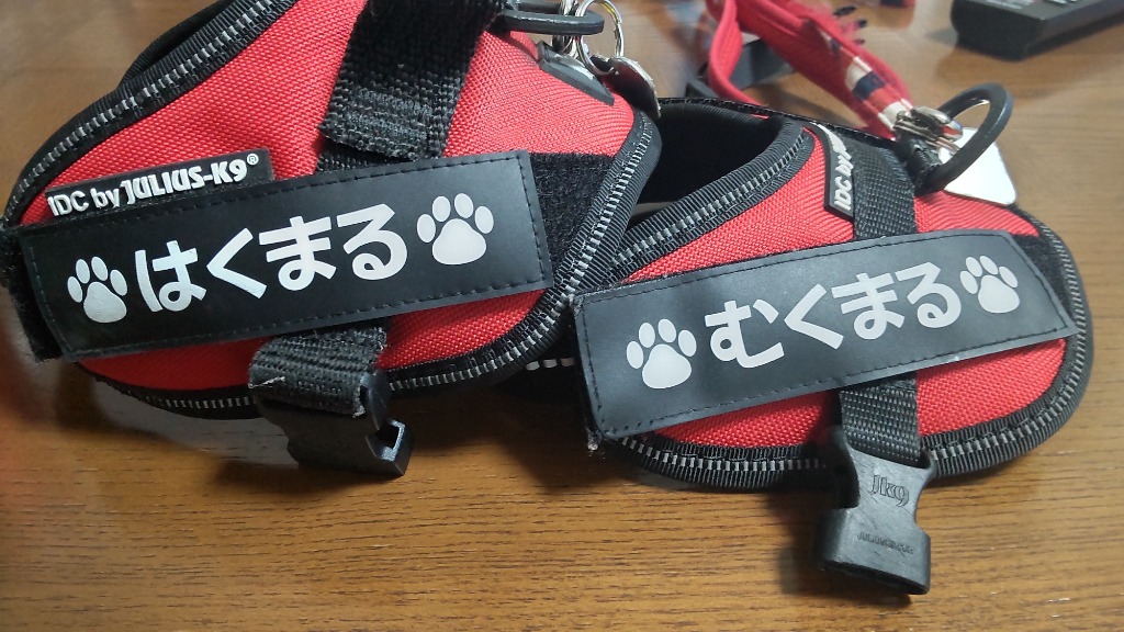 レビュー画像